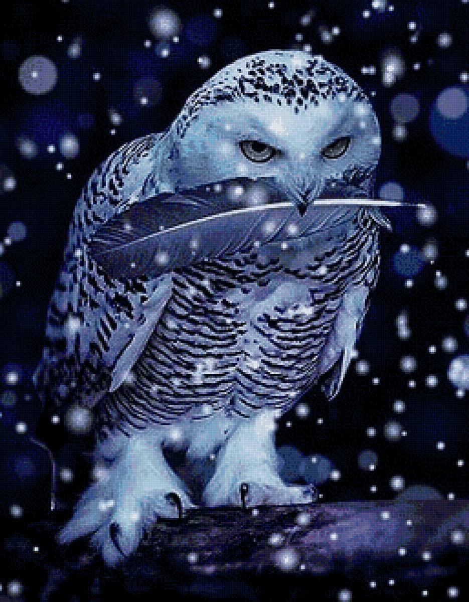 Сова иллюстрация