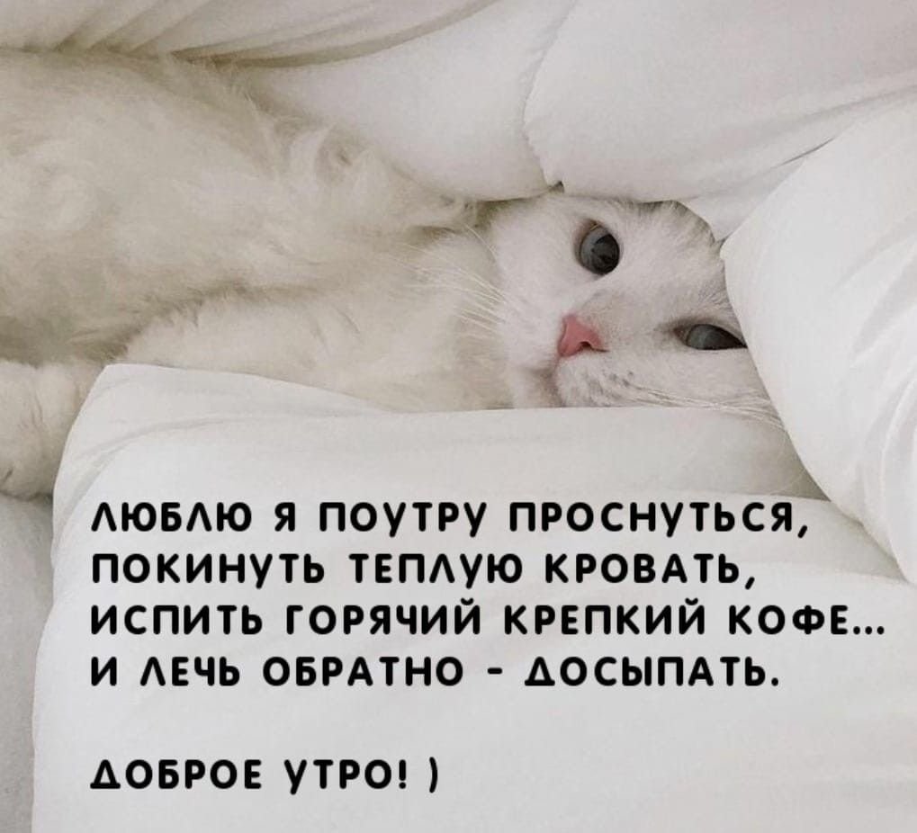 Пожелания с добрым утром прикольные