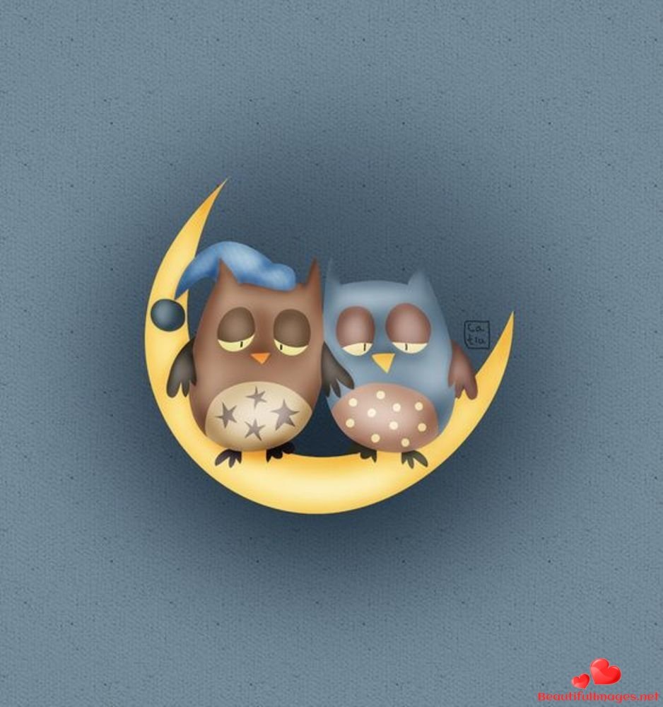 Доброй ночи с птицами