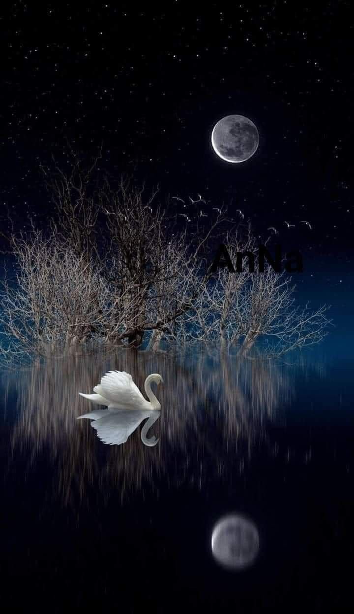 Спокойной ночи Сова