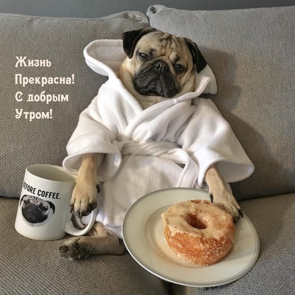 Доброе утро работа