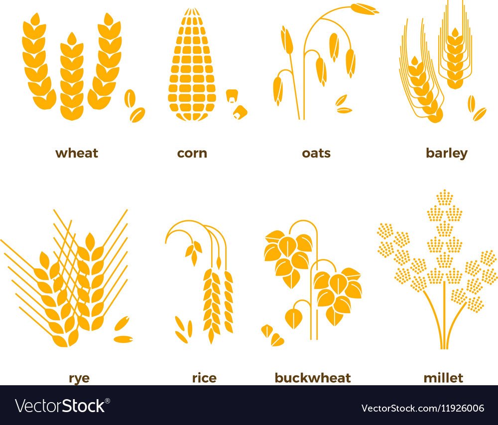 Злаки иконка