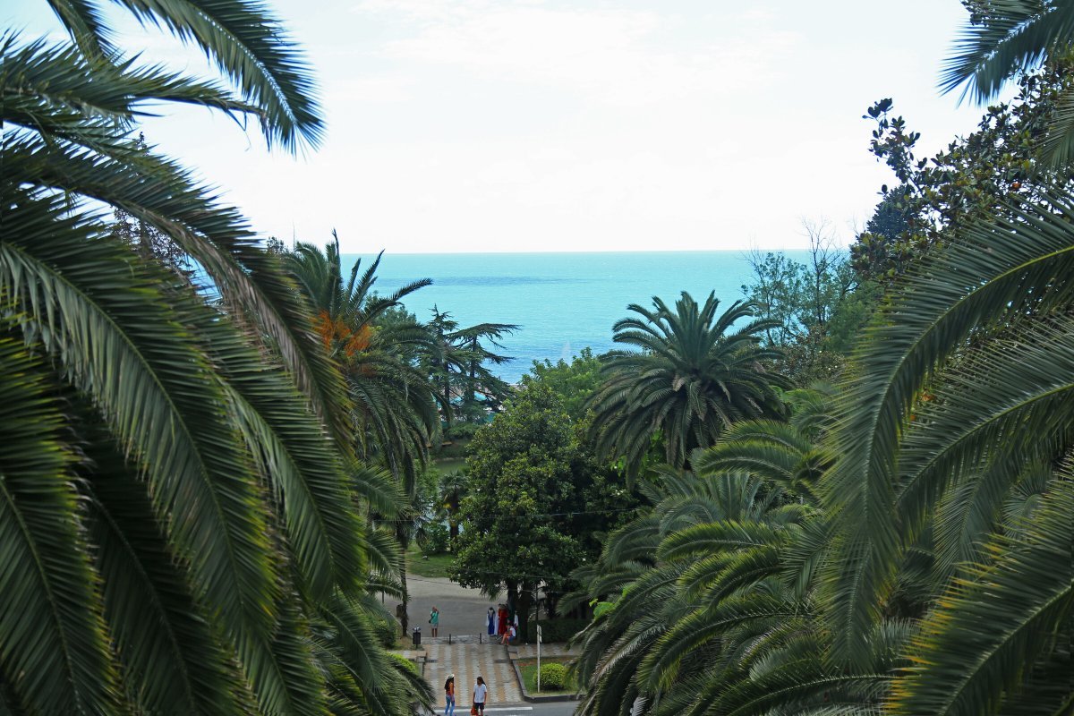 Парк в Гаграх Абхазия