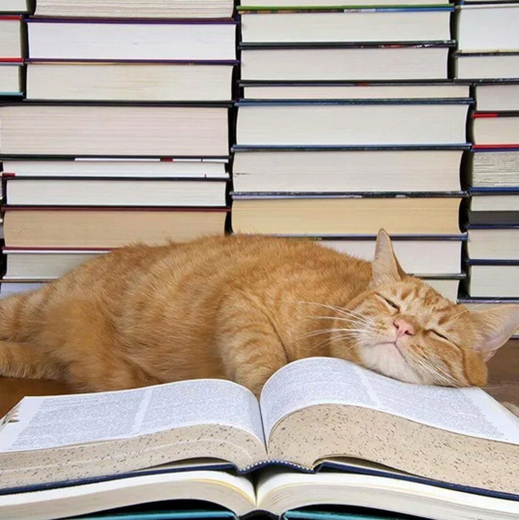 Книги про кошек