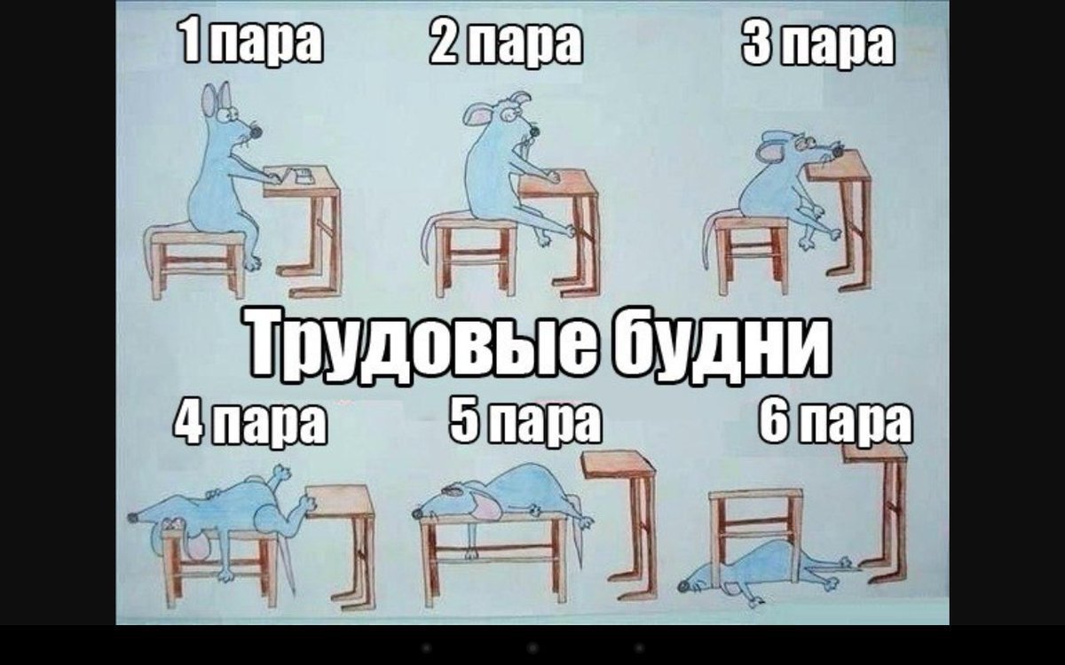 Приколы про студентов