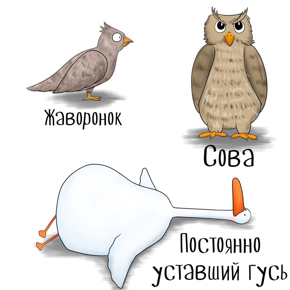 Смешные фразы про отговорки