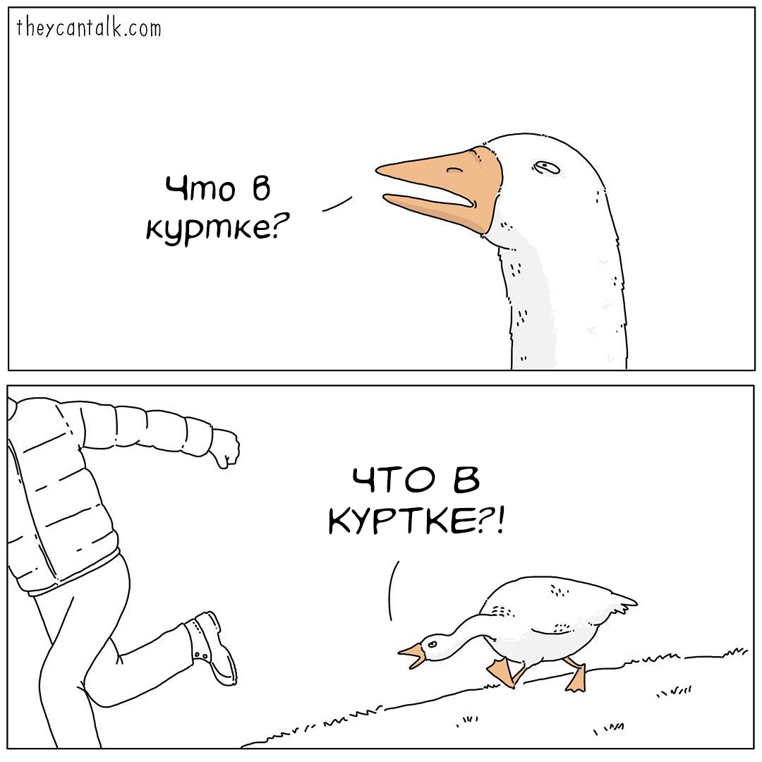 Шутки про гуся