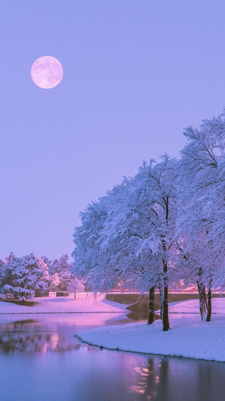 Зимняя заставка