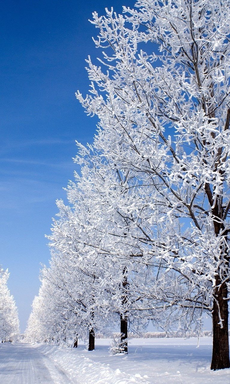 Зима картинки