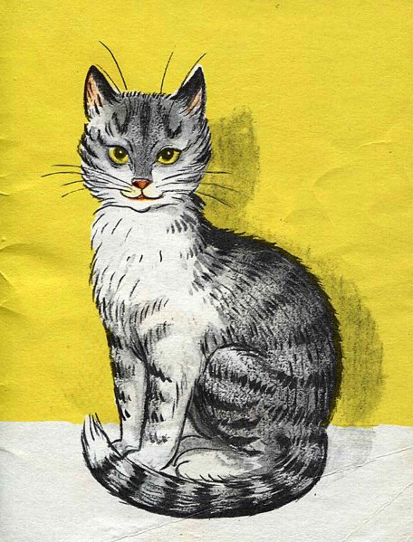 Усатый полосатый маршак картинки