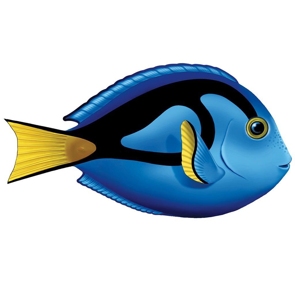 Рыбки морские на прозрачном фоне