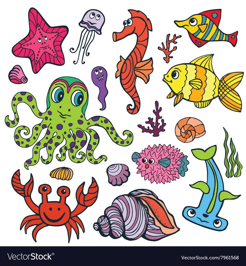 Морские рыбки картинки для детей