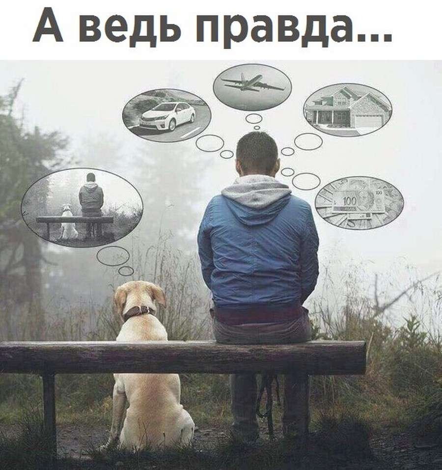 Правда жизни