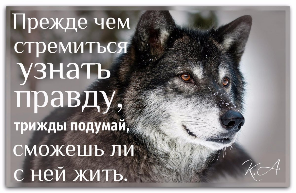 Анекдоты со смыслом ржачные