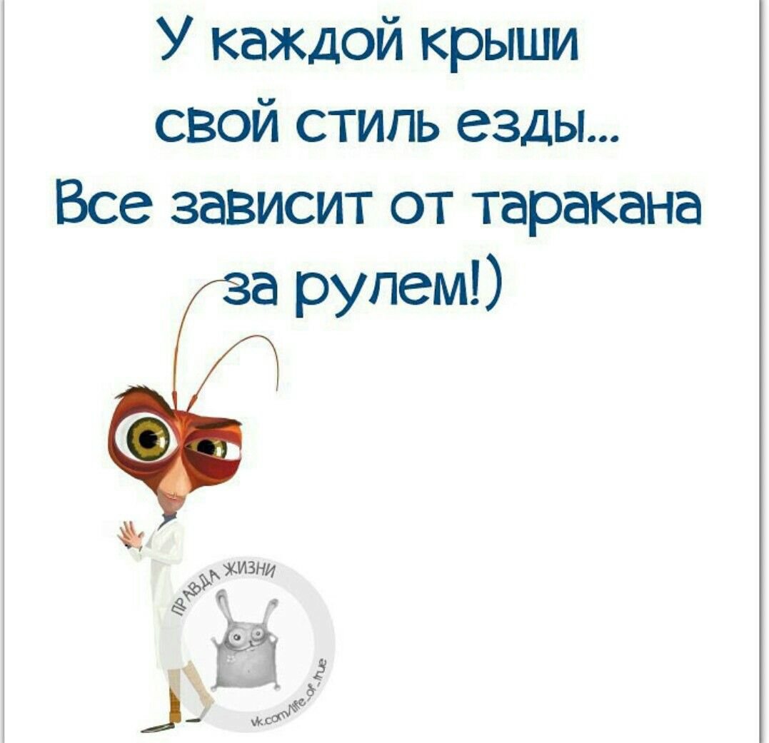 Много цитат