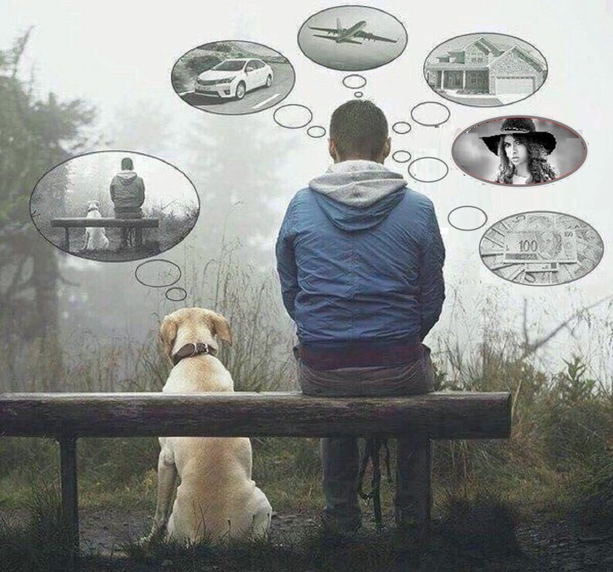 Фальшивые люди цитаты