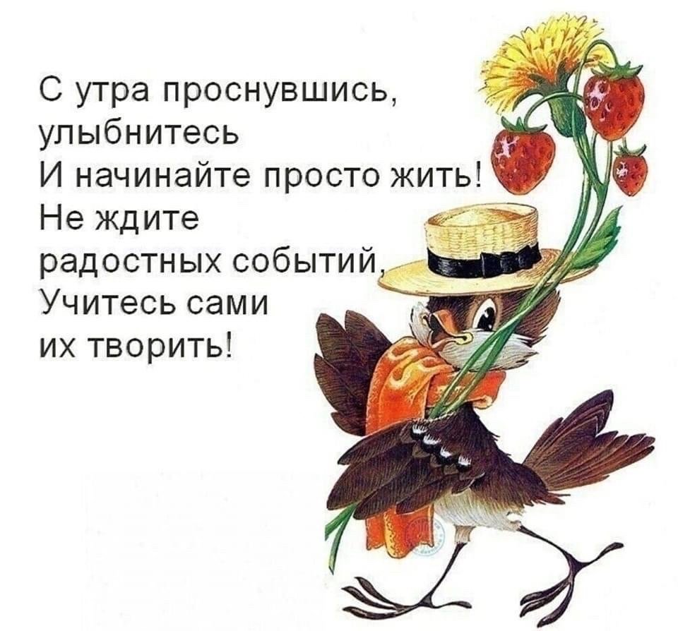С утра проснувшись улыбнитесь и начинайте просто жить