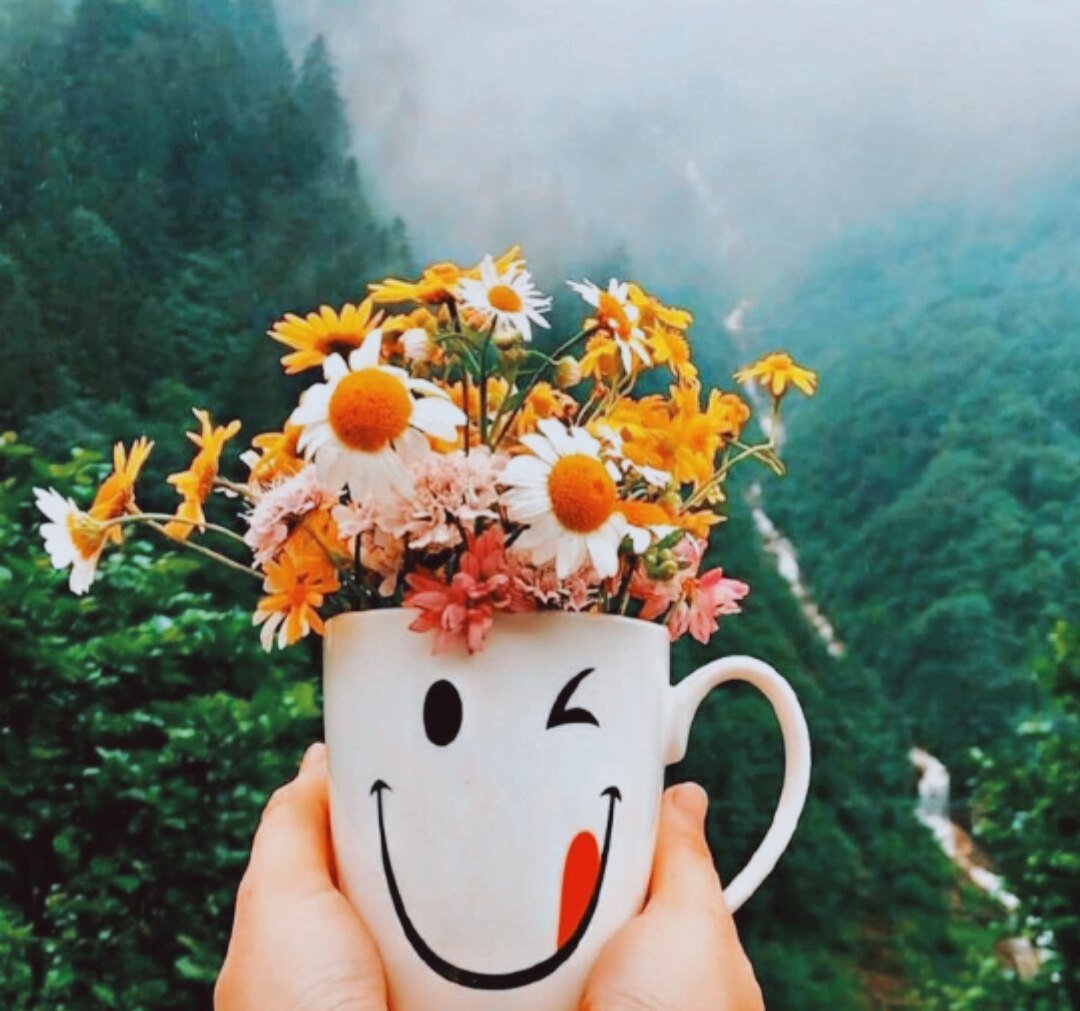 Позитивного настроения