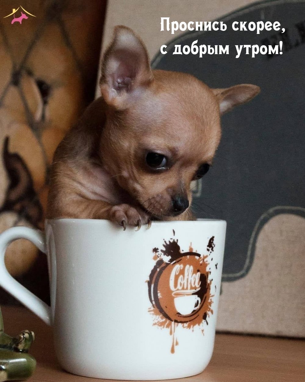 Утро понедельника добрым не бывает