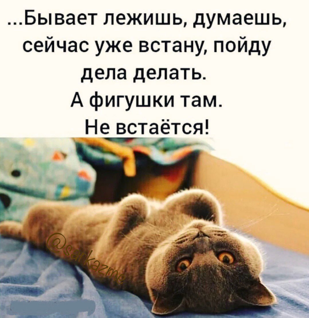 Тяжело проснуться утром прикольные