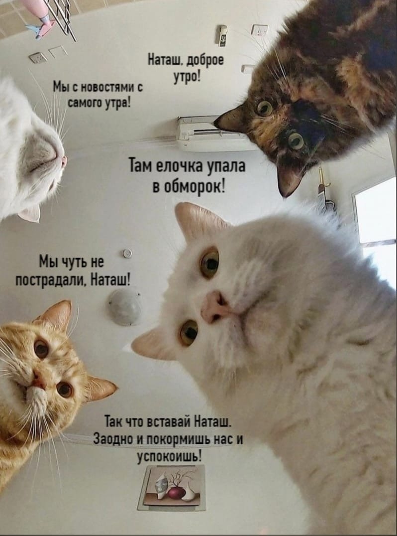 Праздник самый Несносный день в году