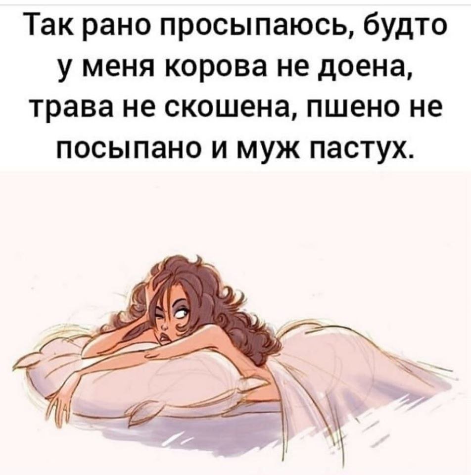 Мемы с котиками про сон