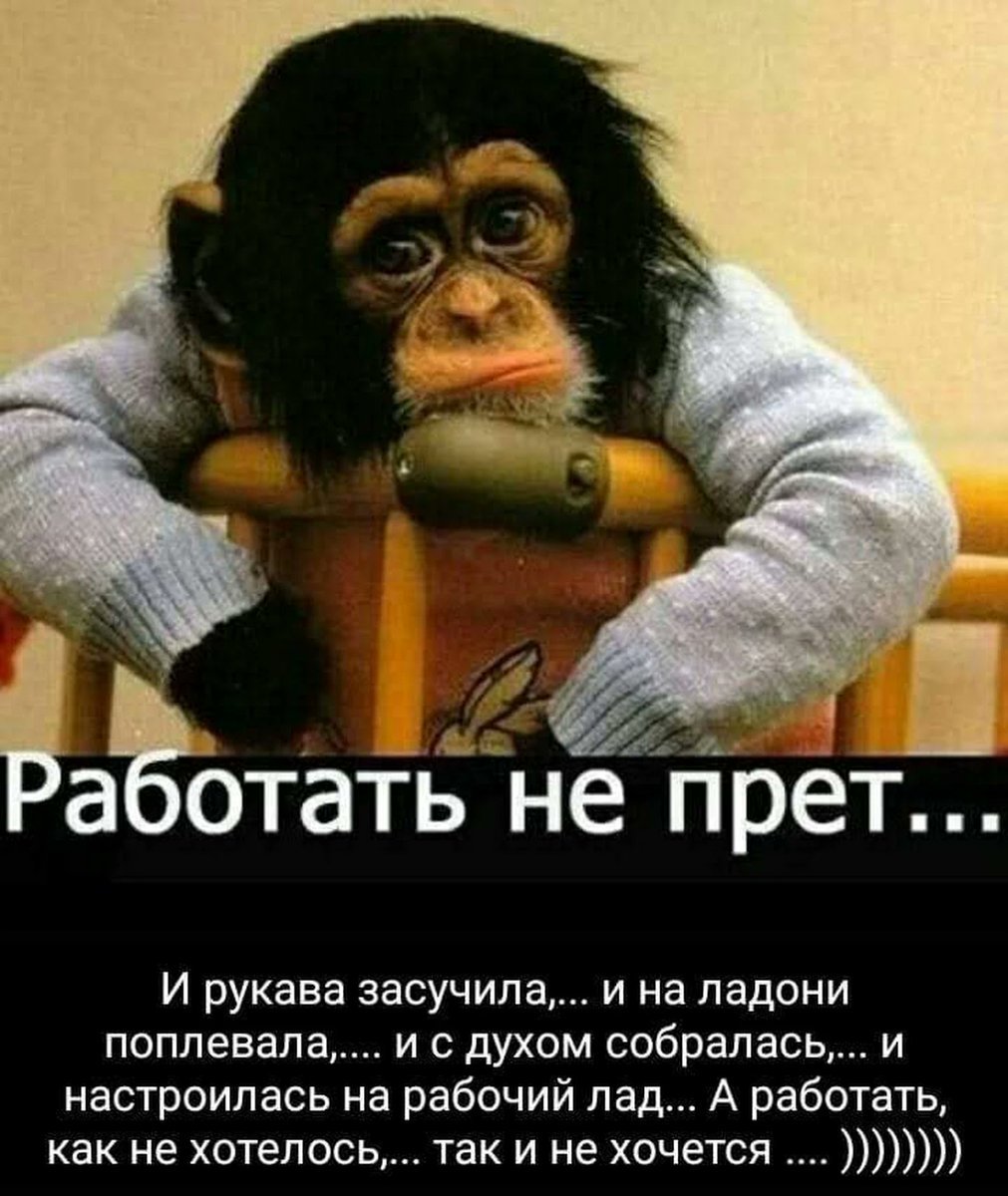Приколы про работу