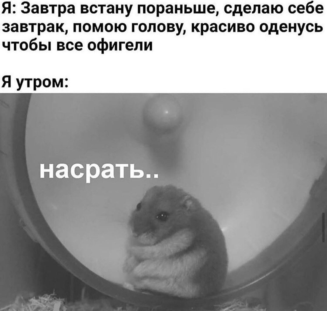 Как встать с кровати утром