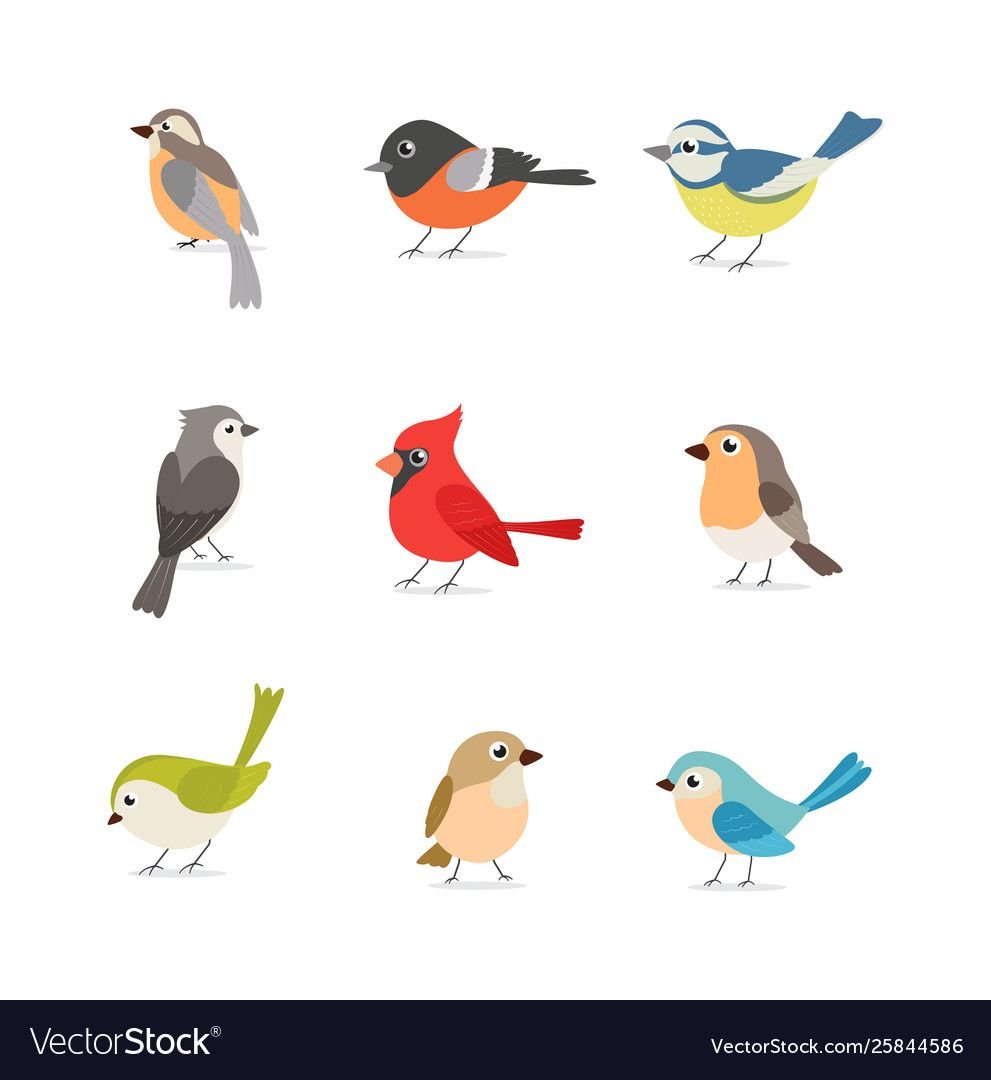 Птичка нарисованная в приложение