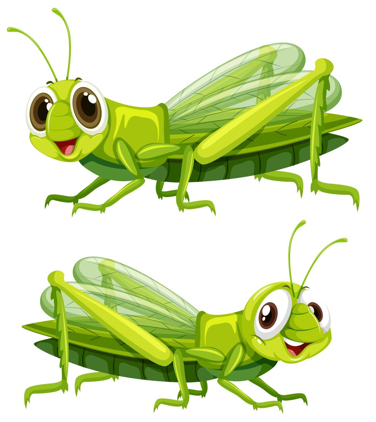 Кузнечик клипарт