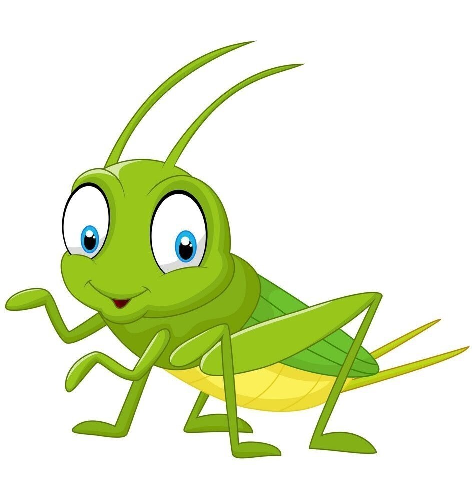 Кузнечик раскраска