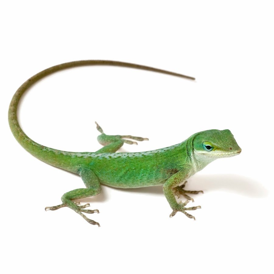 Зеленый креатив