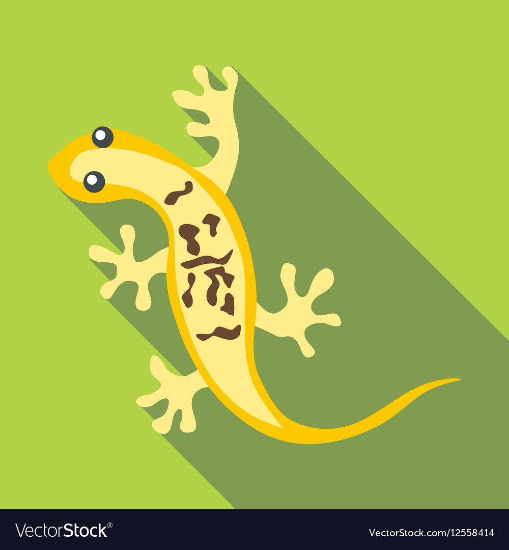 Трафарет ящерицы для стен