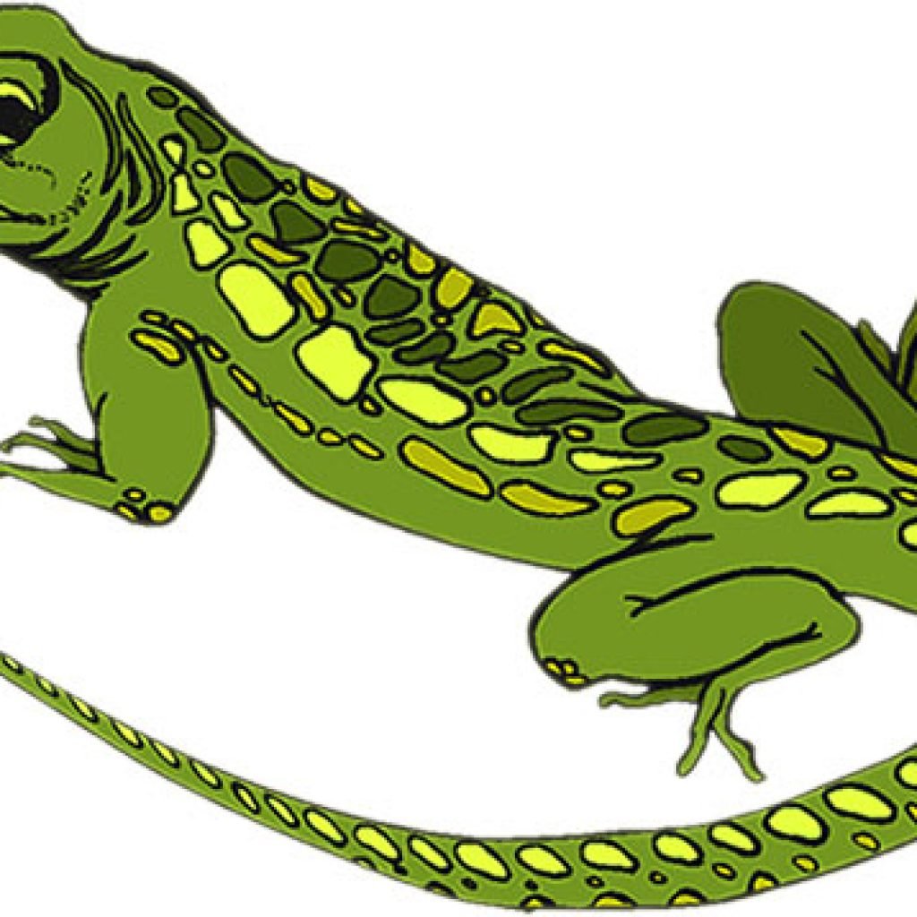 Ящерица для детей