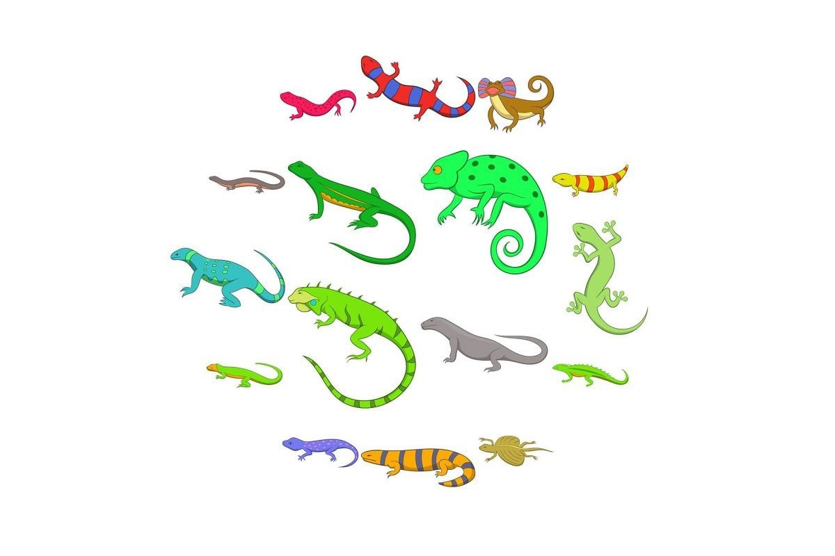 Мультяшный стиль рисования ящерица
