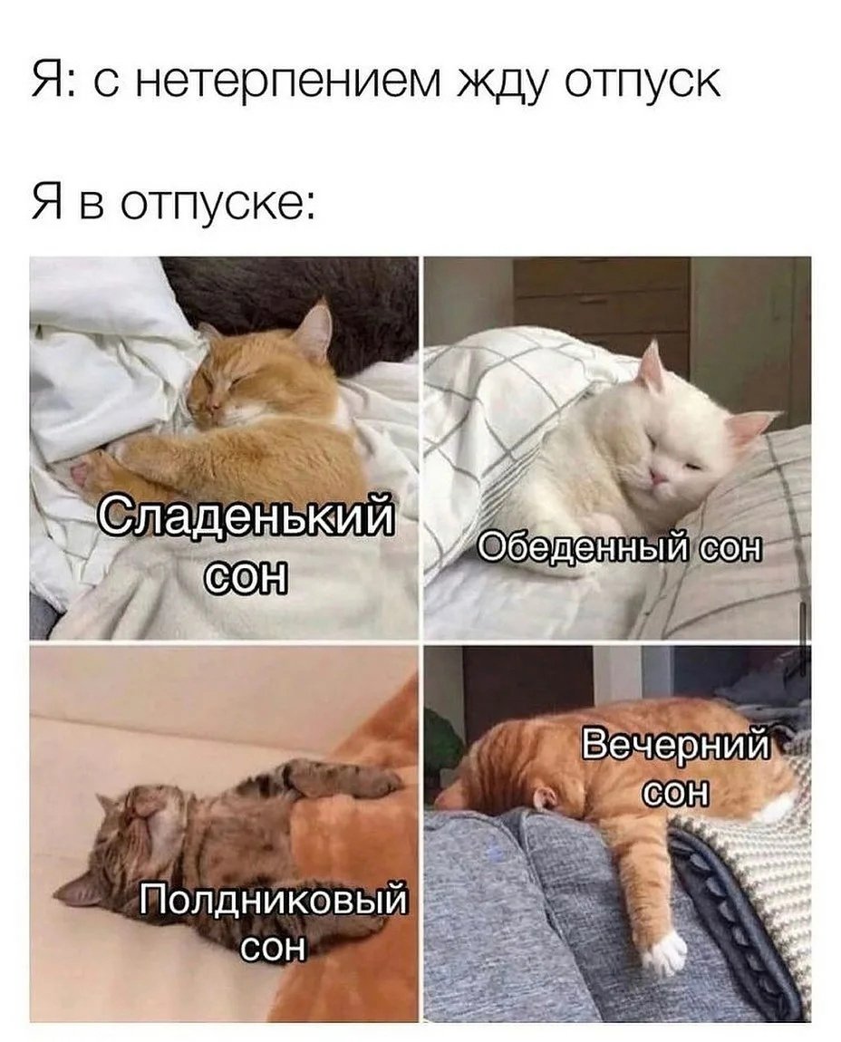 Обеденный сон прикол