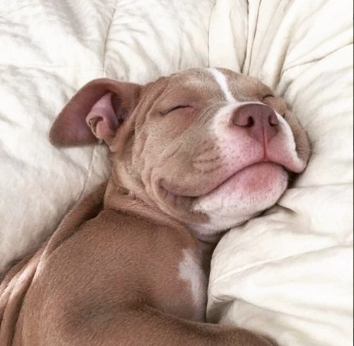 Карикатуры про любовь