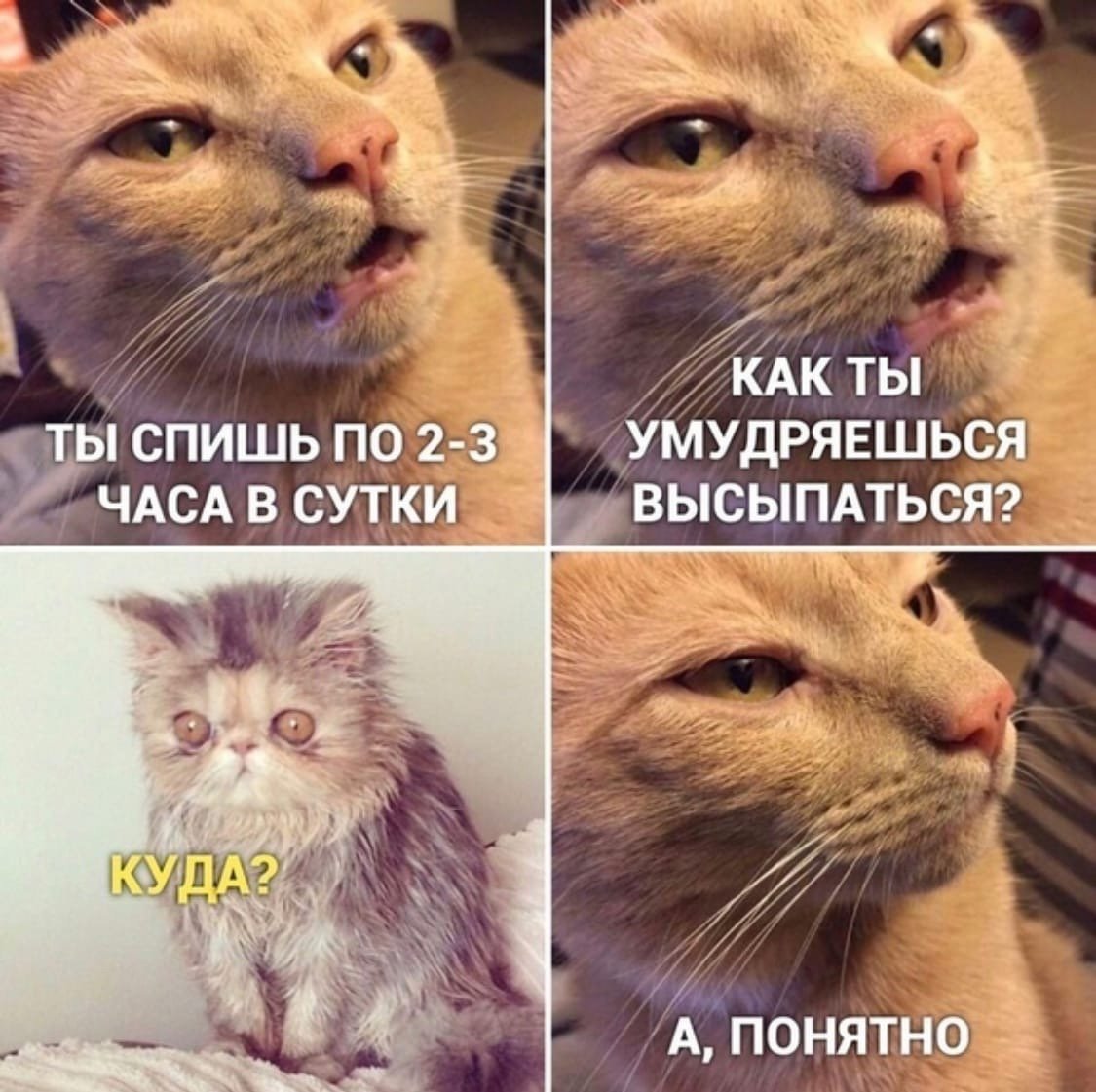 Опять о бабах думает Мем