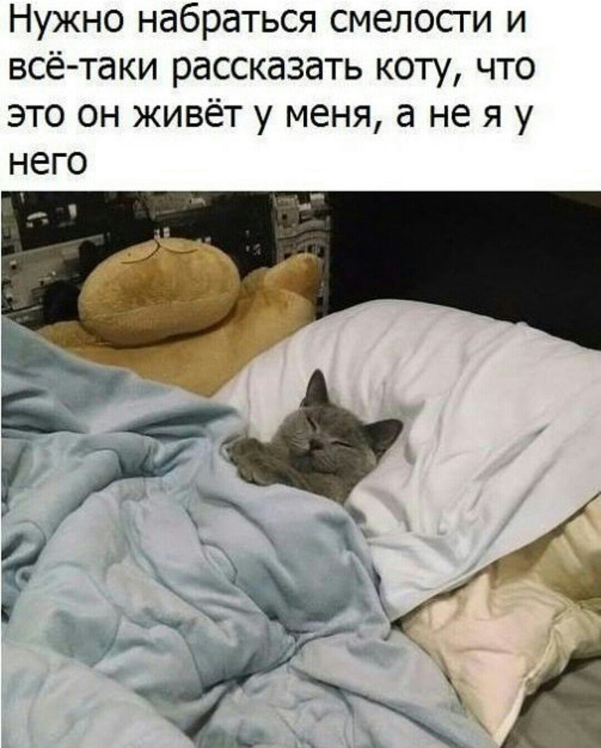 Мемы про понедельник
