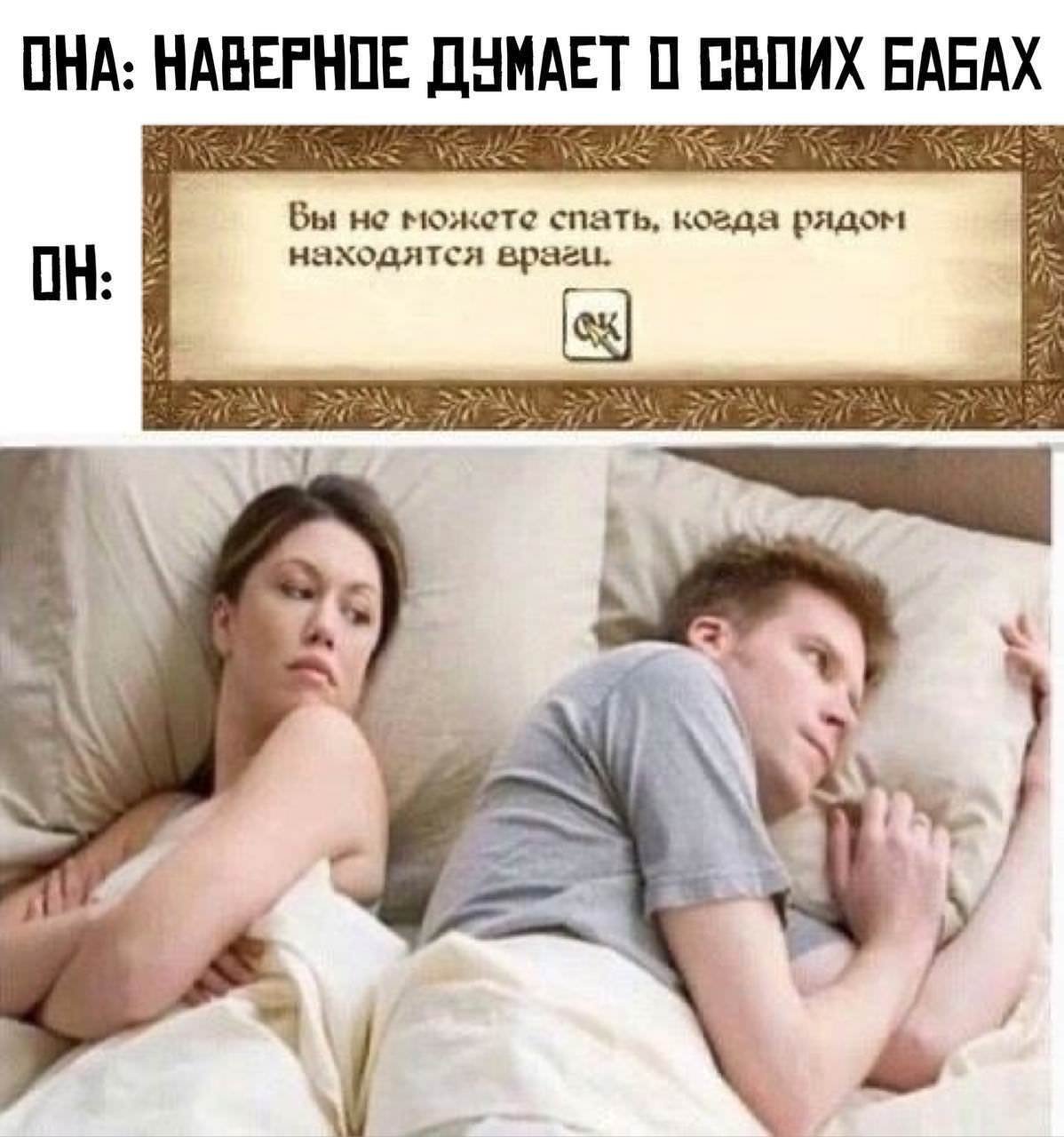 Забавные животные спят