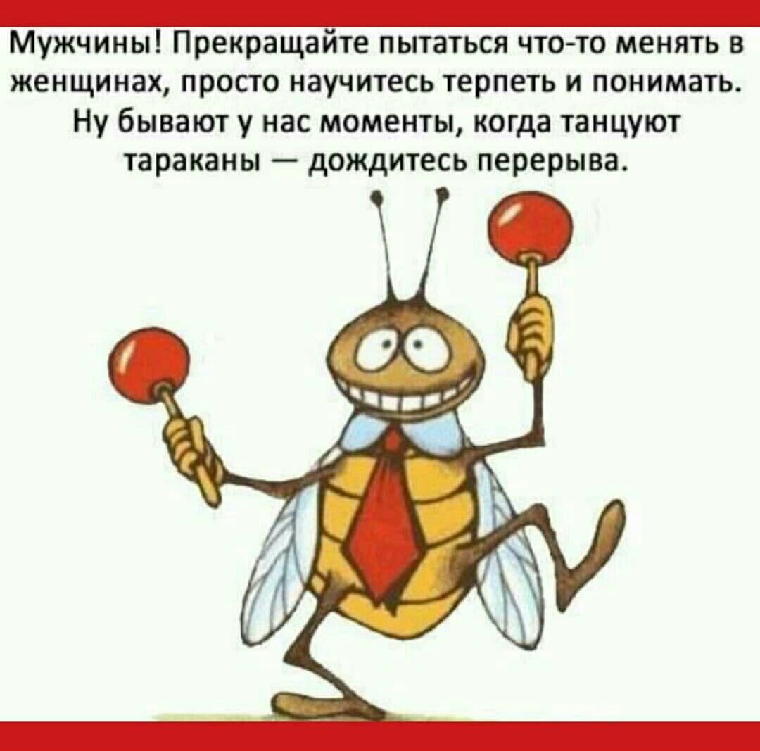 Веселый таракан