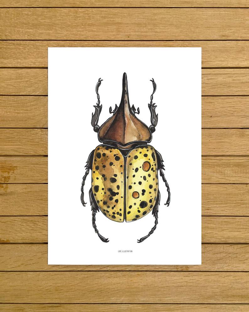 Жуки Постер