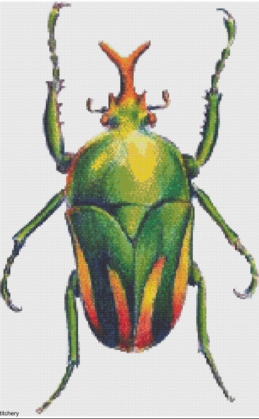 Цветные жуки