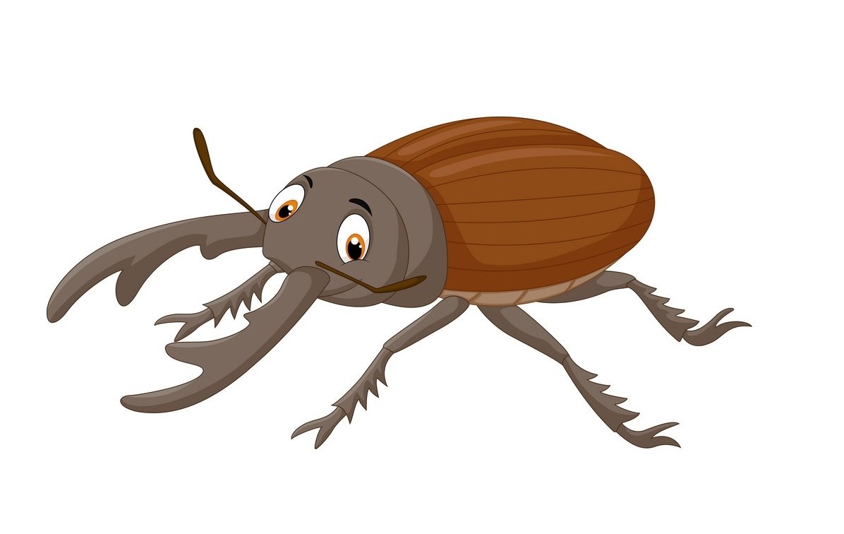 Жук мультяшный на белом фоне