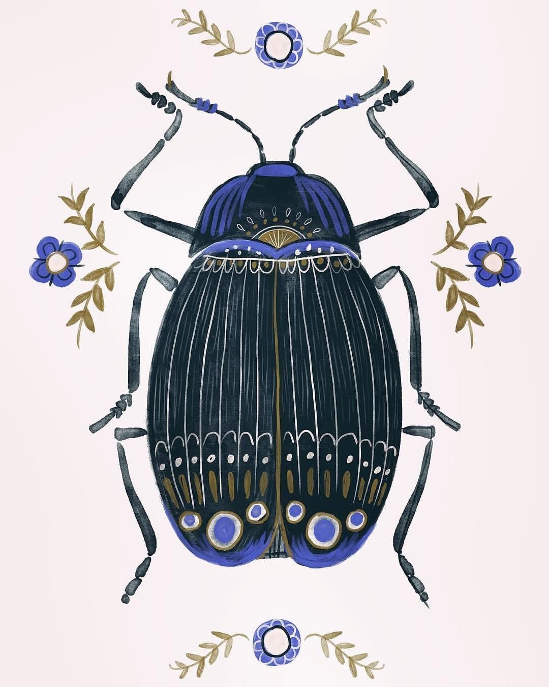 Жук в графике