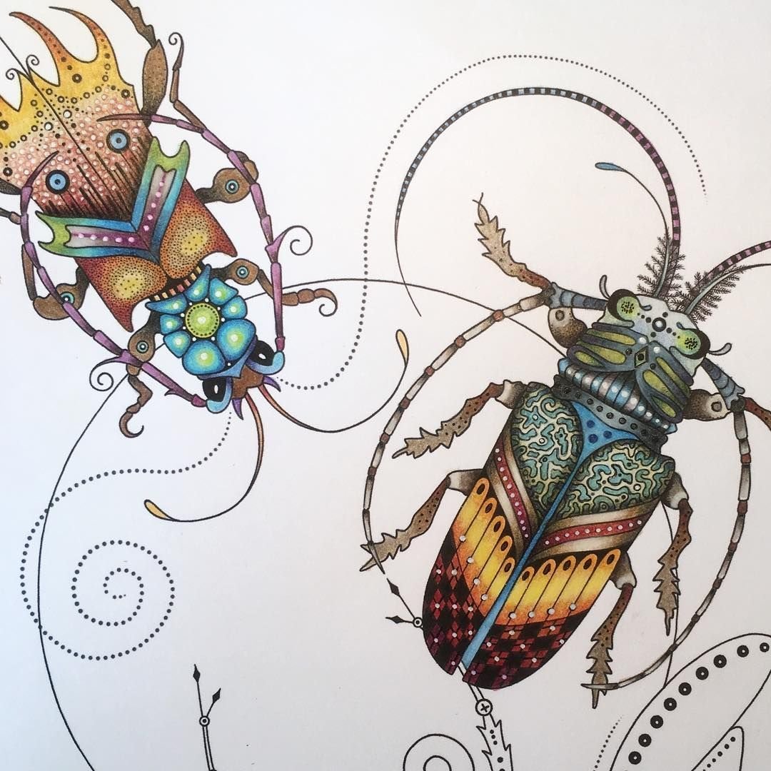 Жук Графика