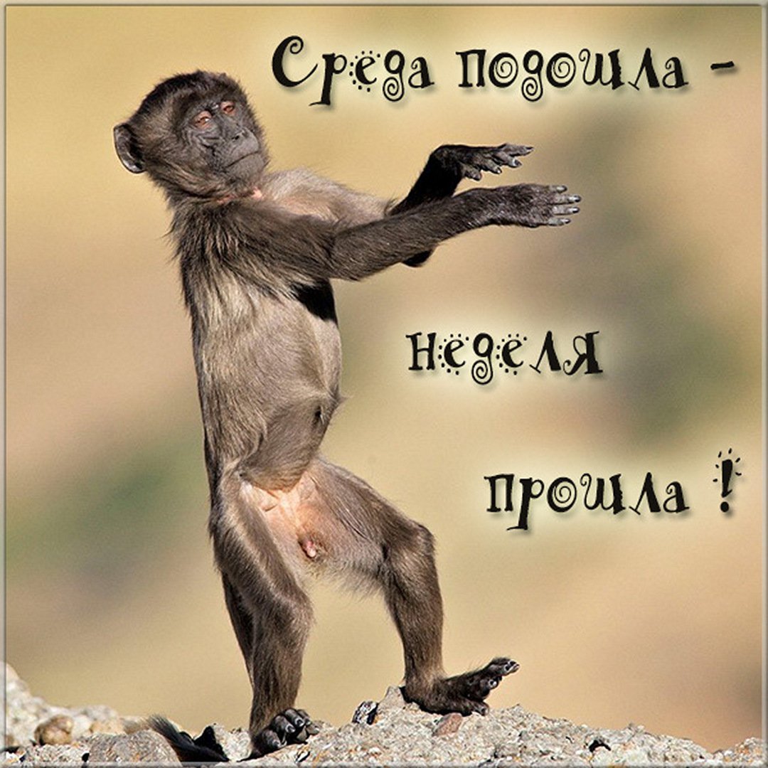 Доброе утро среда прикольные