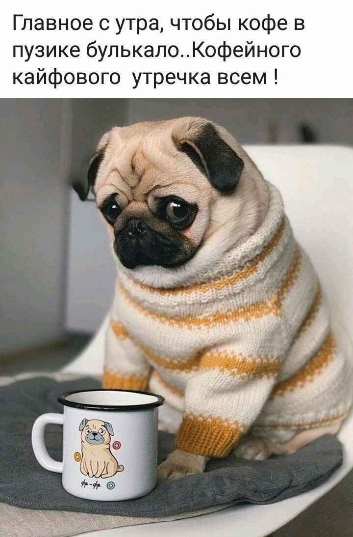 Доброе утро Мопс