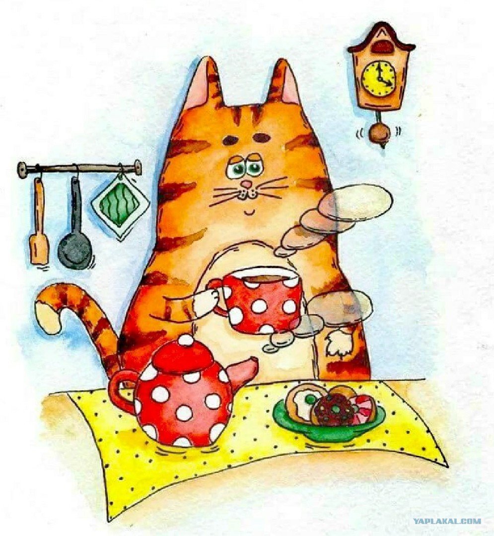 Смешной кот рисунок