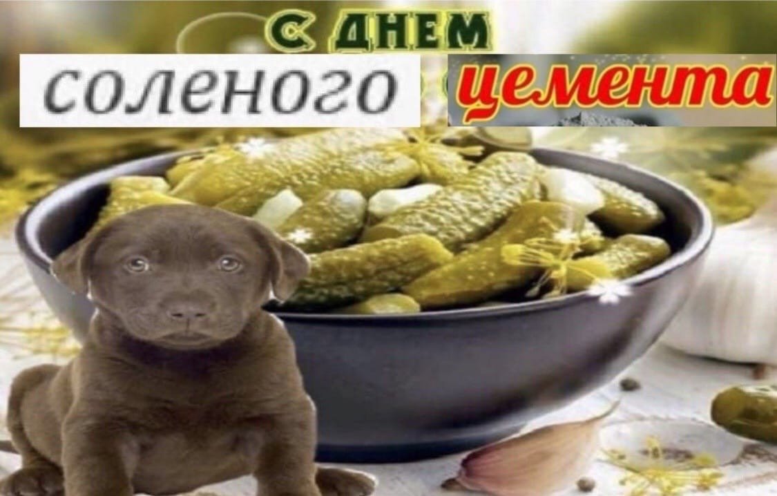 Смешные названия для группы в ватсапе